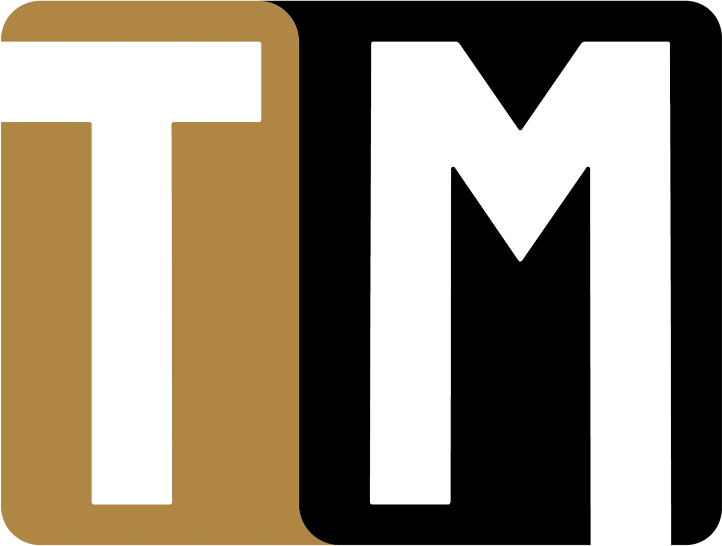 Top Motors
